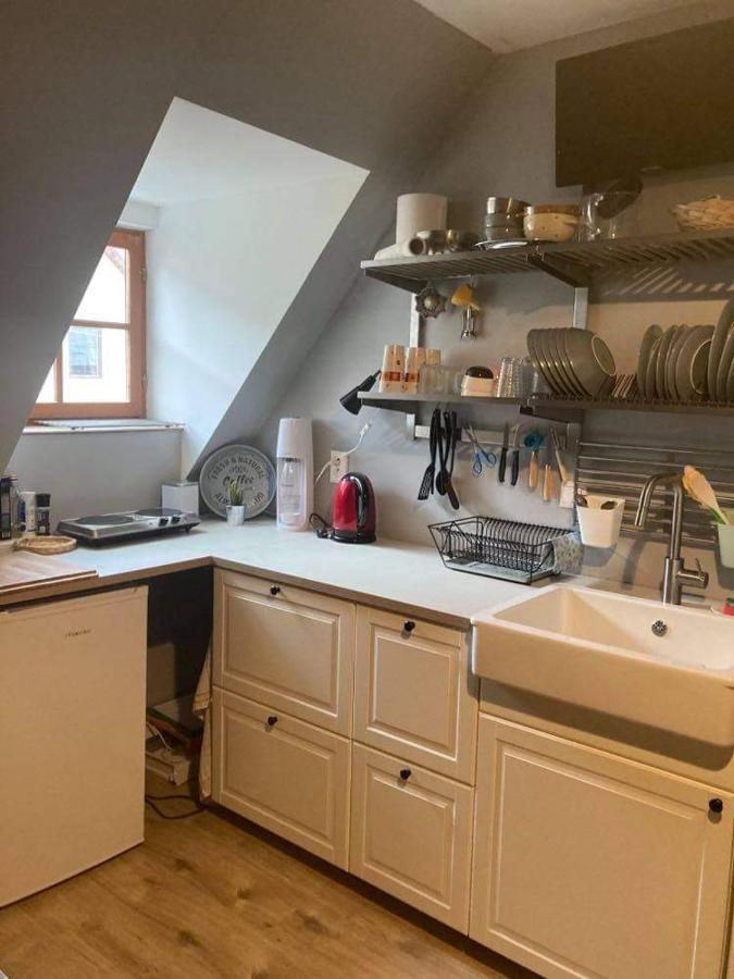 Apartman Pod Starym Zamkom Banská Štiavnica Eksteriør bilde